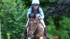 Olympic eventing cross-country Wiesbaden, Schloﬂpark Biebrich, 08.06.2019, LONGINES PfingstTurnier Wiesbaden 2019, EVENT RIDER MASTERS Preis der Familie Prof. Dr. Heicke CCI4*-S Teilpr&cedil;fung Gel&permil;nde Bild: Jonelle Price (NZL) auf Grovine de Reve Wiesbaden Schloﬂpark Biebrich Hessen Deutschland *** Wiesbaden, Schloﬂpark Biebrich, 08 06 2019, LONGINES PfingstTurnier Wiesbaden 2019, EVENT RIDER MASTERS Prize of the family Prof Dr Heicke CCI4 S Partial examination Gel&permil;nde Bild Jonelle Price NZL auf Grovine de Reve Wiesbaden Schloﬂpark Biebrich Hessen Germany.