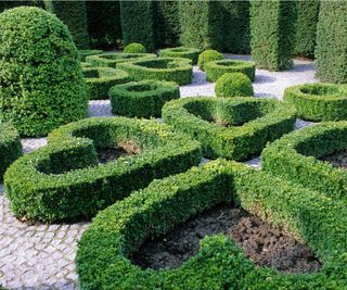 Topiary garden