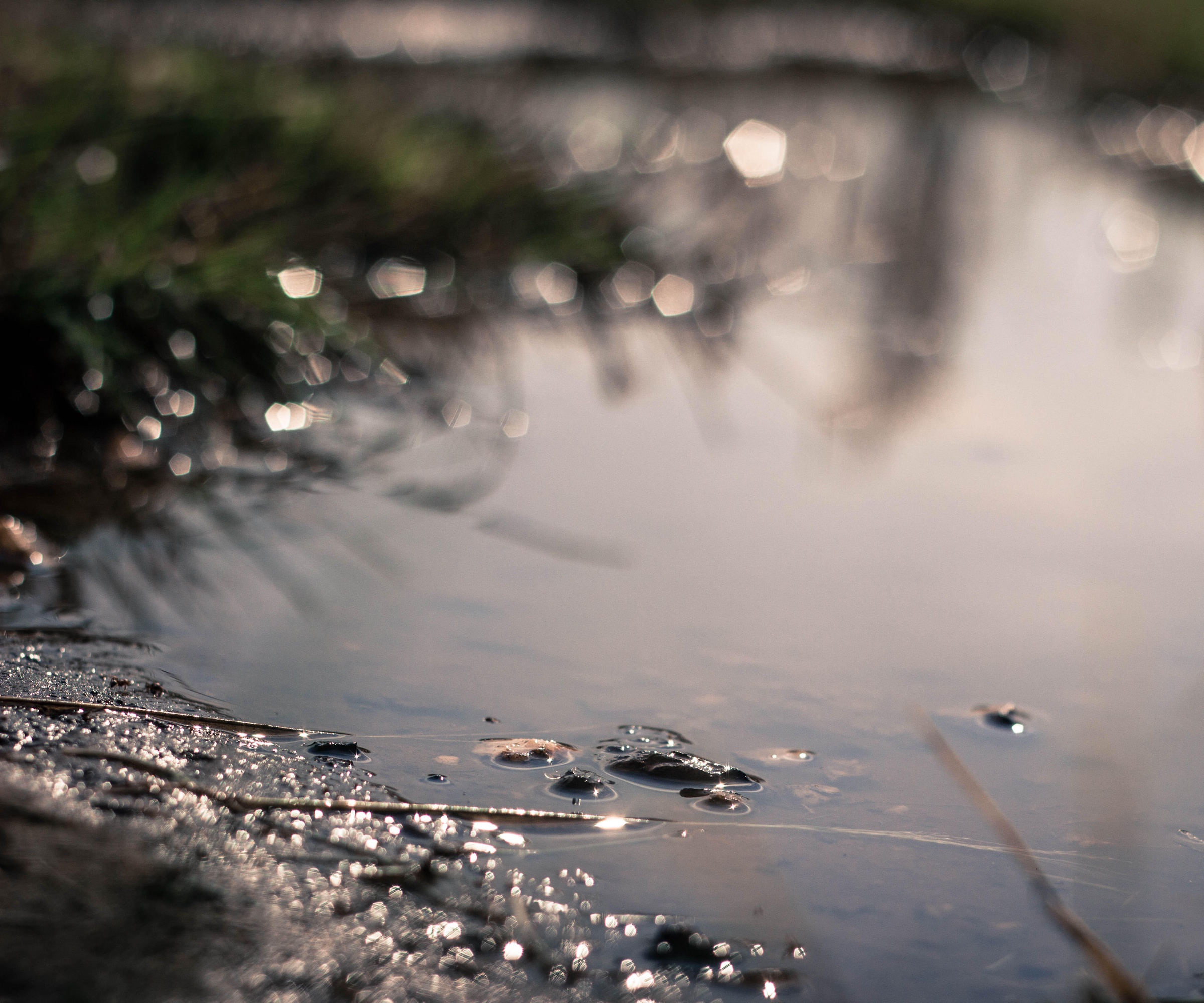 Puddle on ground