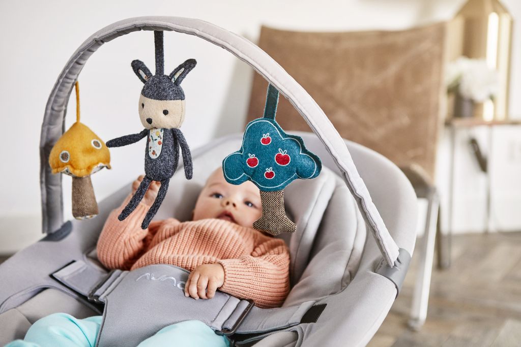 The best baby bouncer best rockers and bouncers for babies Livingetc