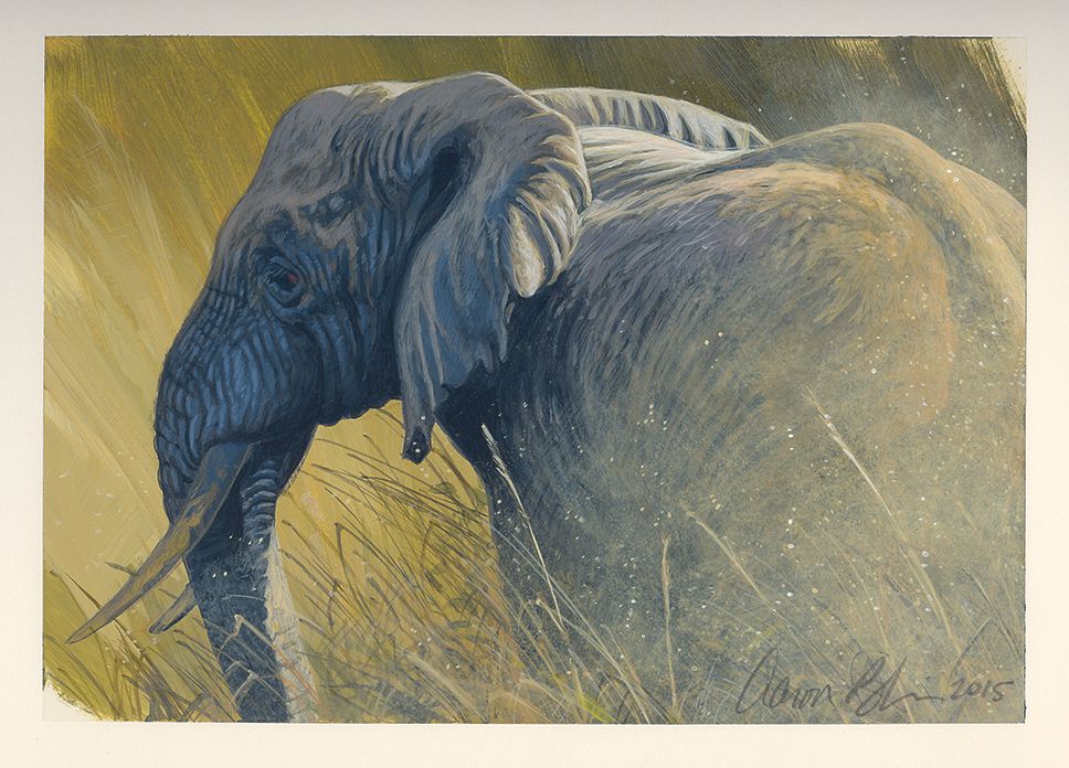 Images from Aaron Blaise's art studio