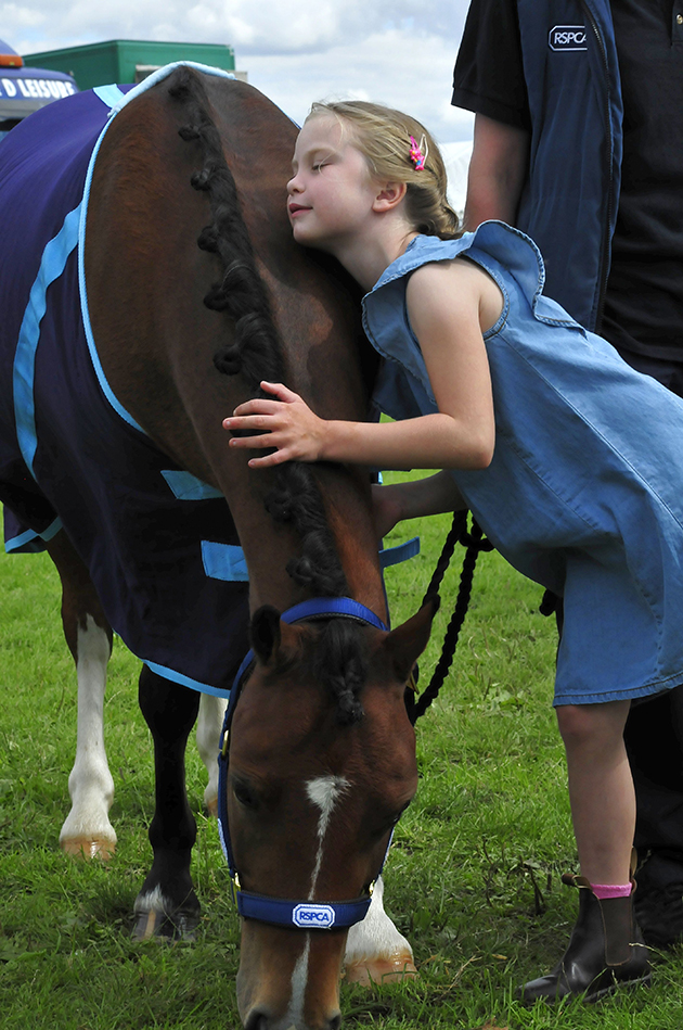 Billy rehomed equifest