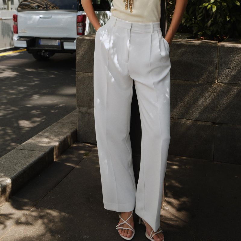 PLEATED WIDE LEG PANTS on model 