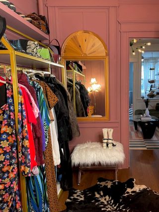 Pink dressing room with closet in apartment