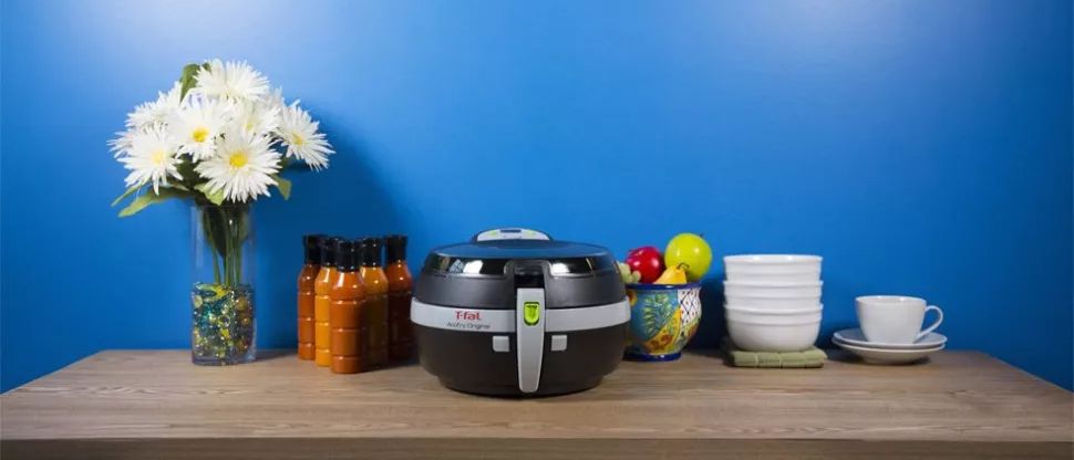 T-Fal Actifry Air Fryer Review