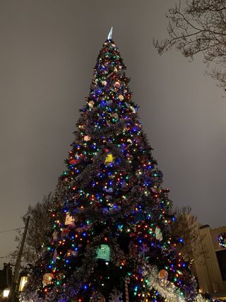 Christmas tree in Disney California Adventure from bottom-up