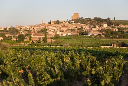 Domaine de la Janasse