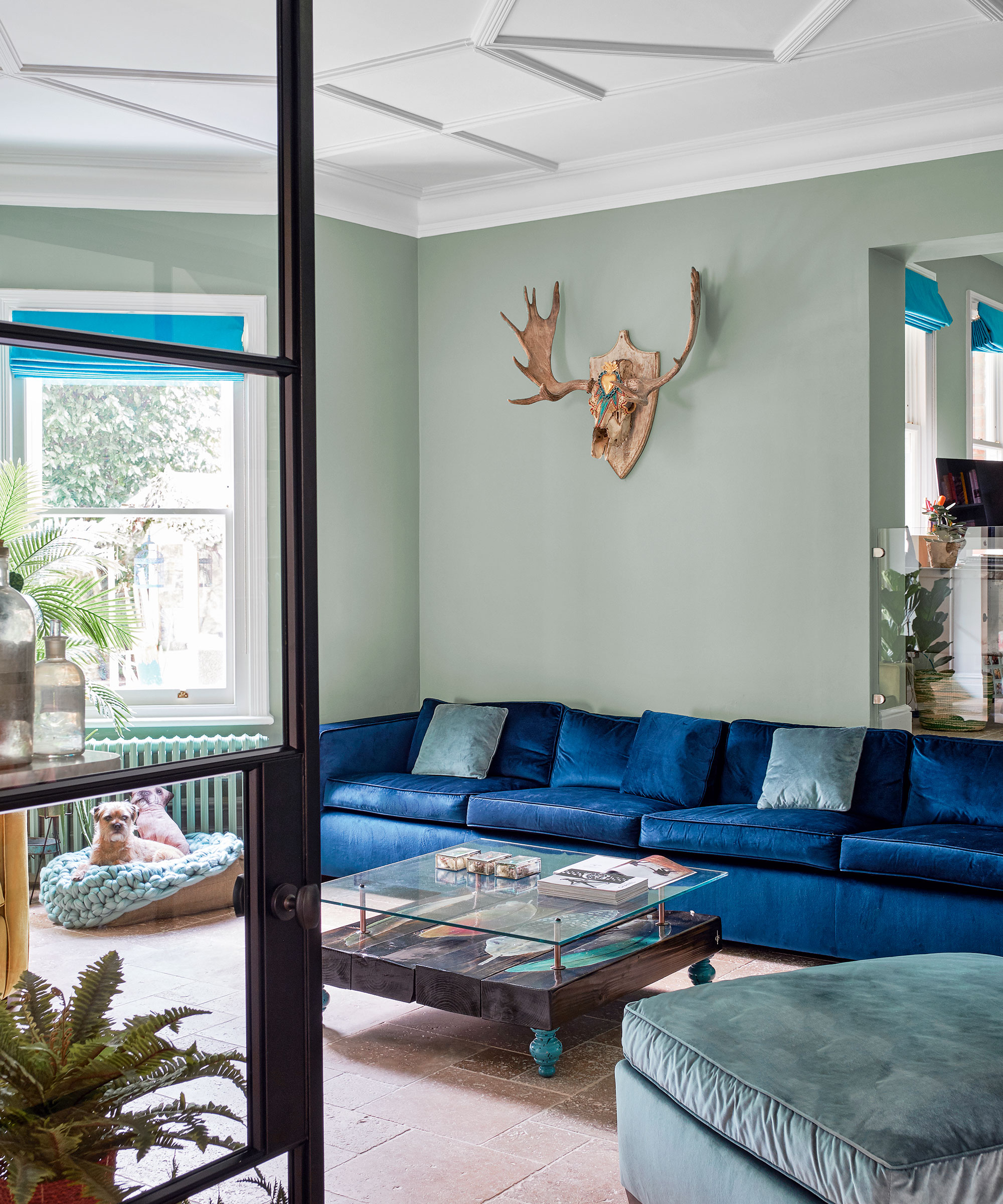 A modern green living room with blue velvet sofa, glass coffee table and wall-mounted antlers.