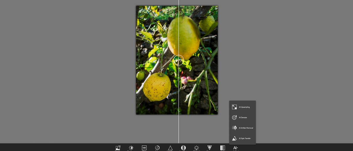 A screen grab from Corel PaintShop Pro