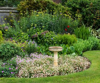 garden border, summer, lawn