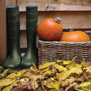 A pair of wellington boots, basket of pumpkins and dried autumn leaves on a doorstep outside a wooden clad building.
