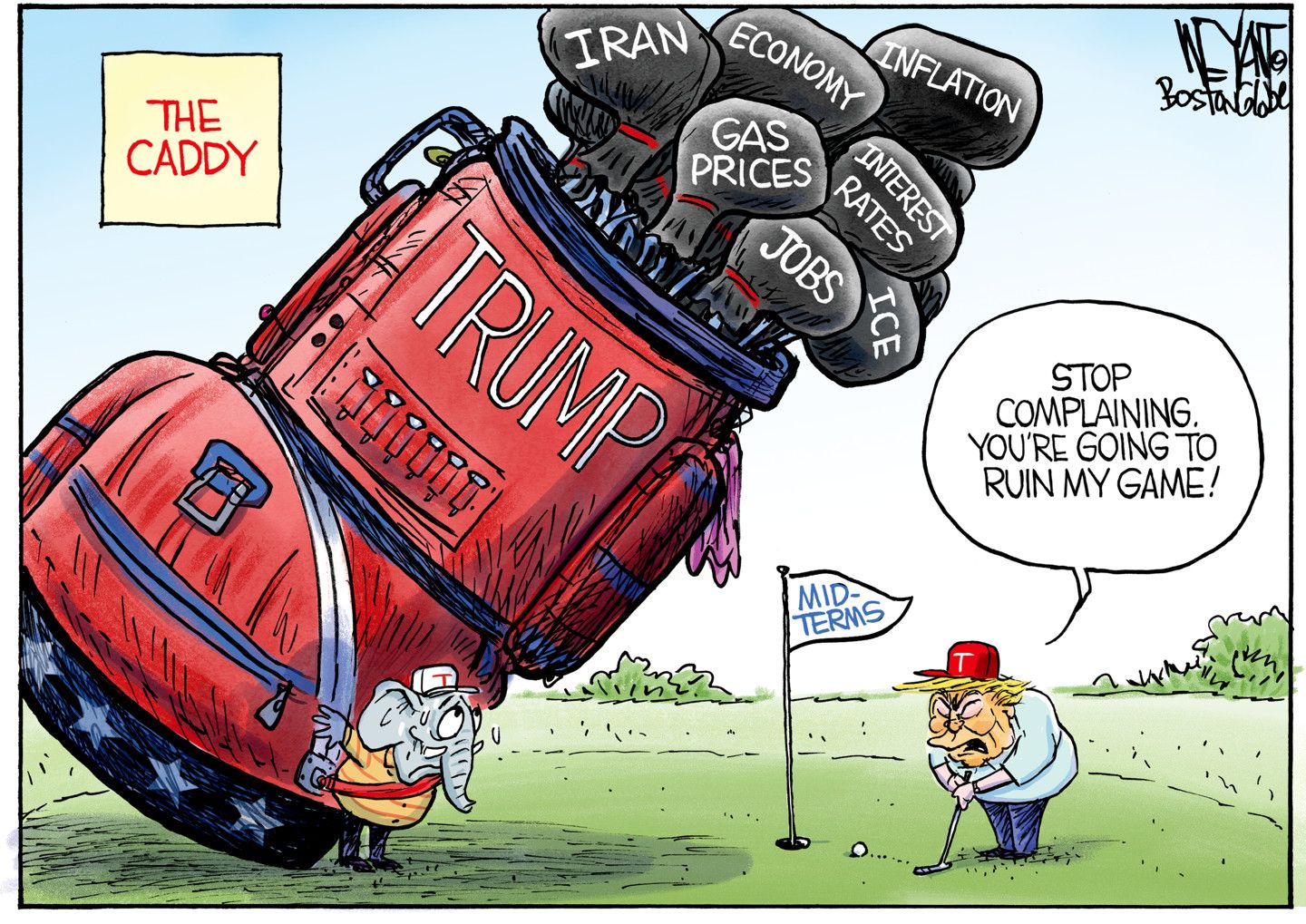 
                                Political Cartoon
                            