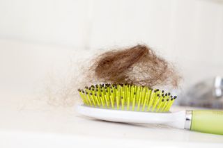 hair, brush, hair ball