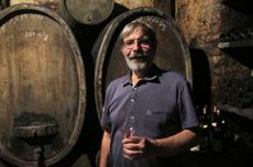 Pierre Clape, Domaine Clape Cornas