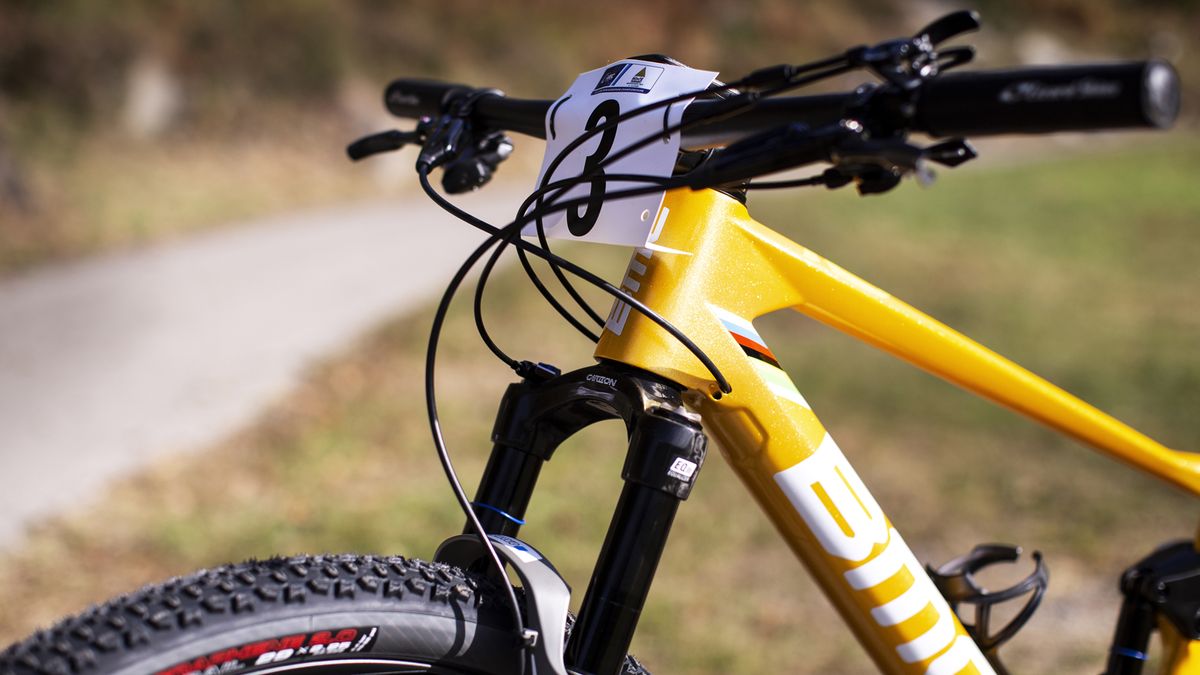 Sarrou's BMC Fourstroke