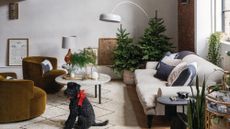 Two Christmas trees in the corner of a cozy neutral living room. A black dog with a red bow is sitting on the white rug in the foreground of the image