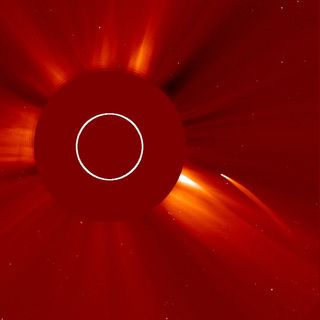 Comet Diving Towards the Sun