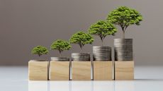 Growing trees on top of growing stacks of coins on top of wooden blocks. 