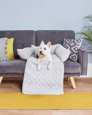 a dog sat on a grey pet bed placed on the sofa, with a yellow rug on the floor