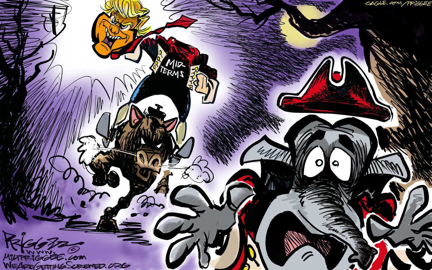 Political Cartoon