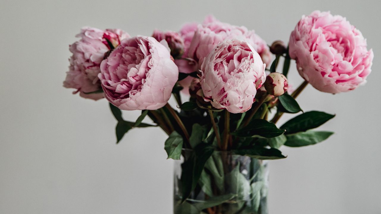 Simon Lycett, celebrity flower trends