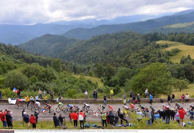The Alsace countryside on display