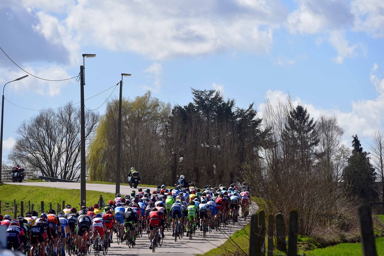 The peloton on a narrow section of road