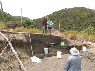 The latest dig revealed that the site has several layers corresponding to different periods of occupation of early Maori communities at different stages of cultural development — a rare find in New Zealand where many of the earliest Maori sites were aband
