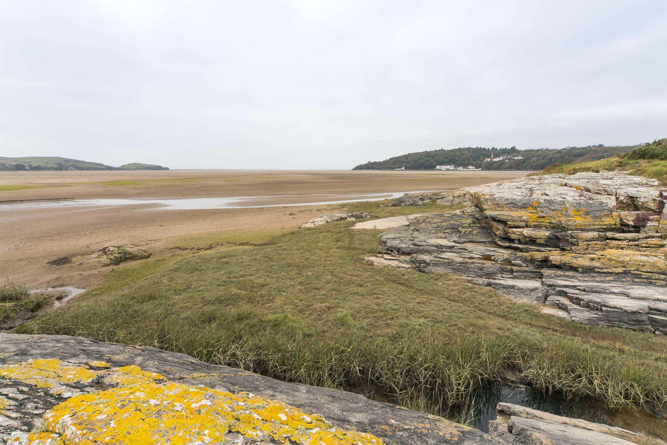 The barely inhabited welsh island of Ynys Gifftan, overgrown and lush