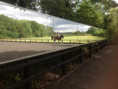 Mirrors for training