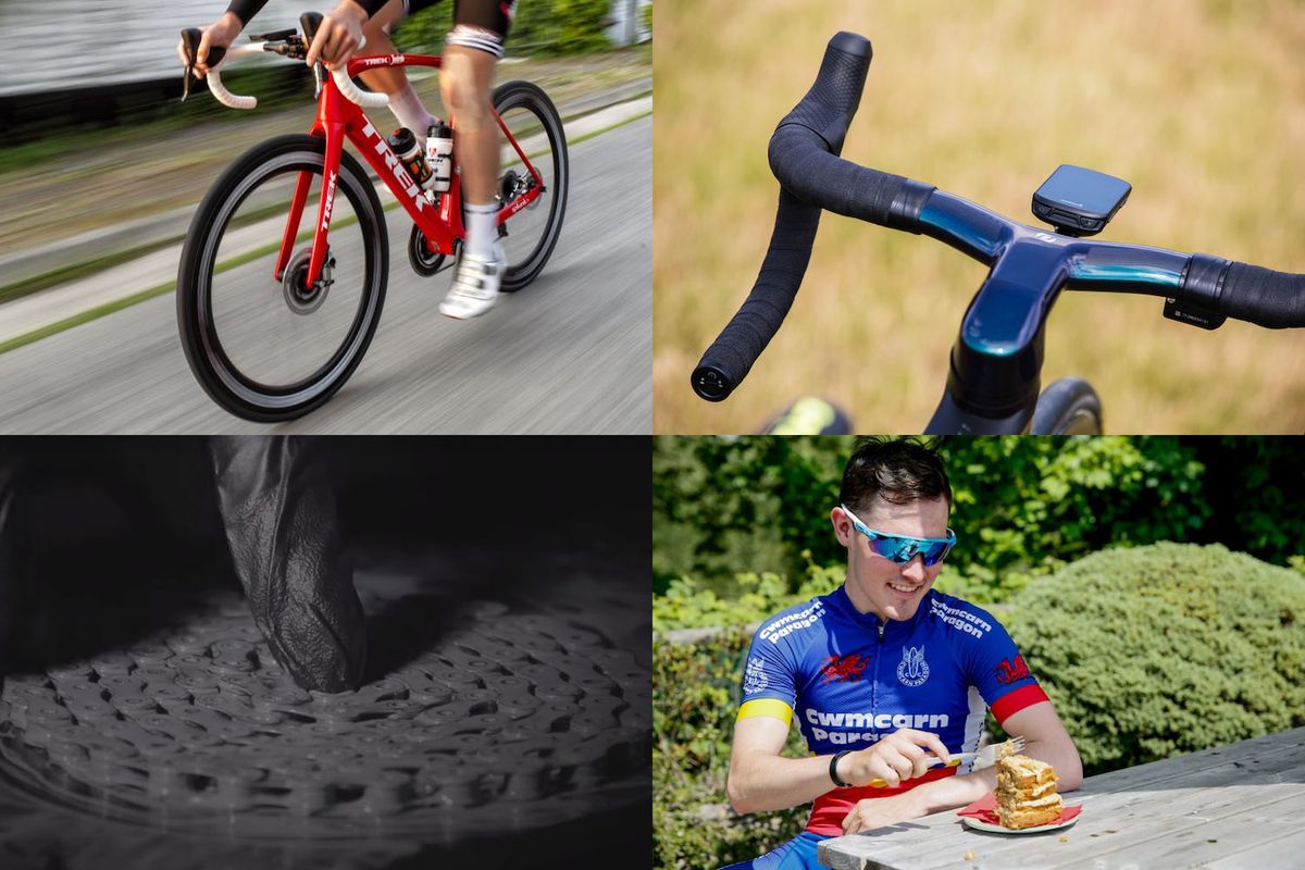 scott addict vs trek domane