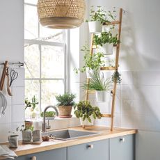 Grey kitchen with oak worktops and ladder storage with plants.