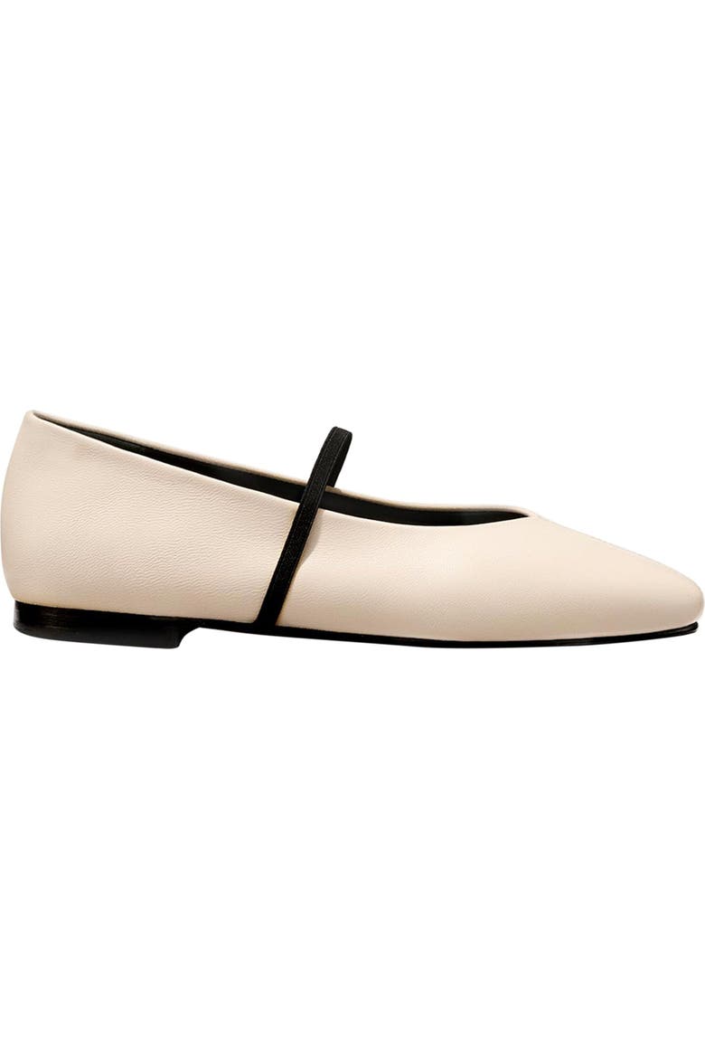 The Phoebe Flats