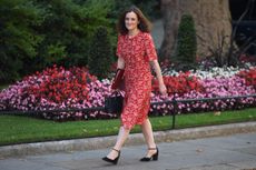 Environment Secretary Theresa Villiers at 10 Downing Street after her appointment last month.