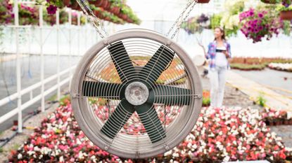 greenhouse air ventilation system using a fan