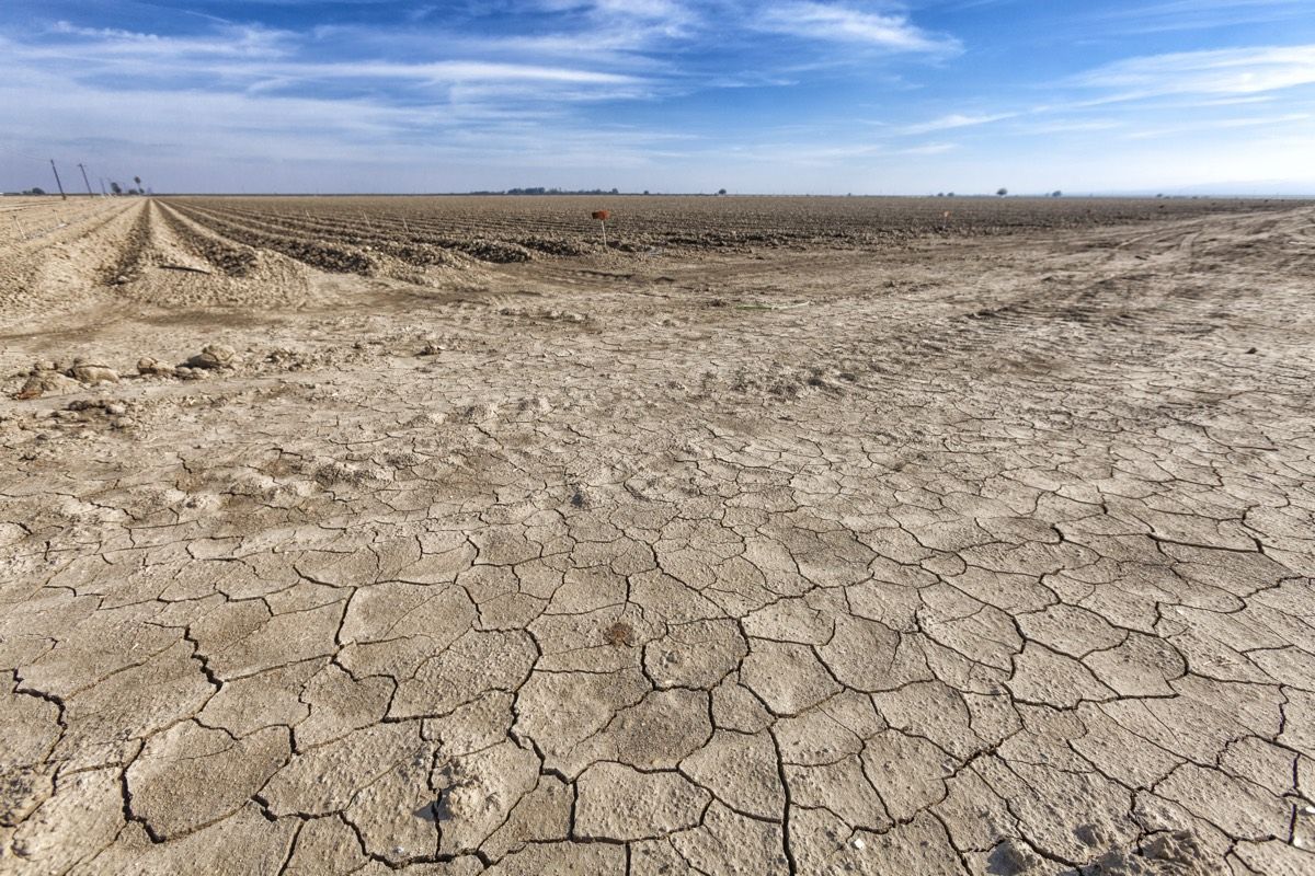 Not a drop of moisture can be seen near this fallow crop field in Fresno County, in San Joachin Valley, California.