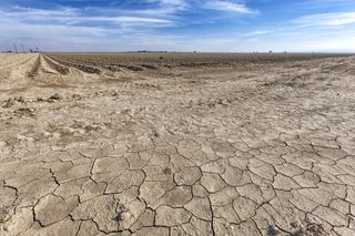 Not a drop of moisture can be seen near this fallow crop field in Fresno County, in San Joachin Valley, California.