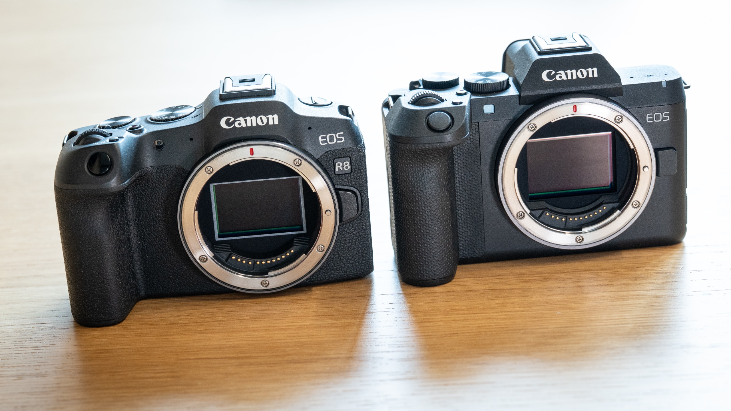 Canon EOS R8 Mark II