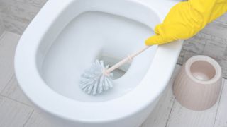 A toilet brush scrubbing a toilet