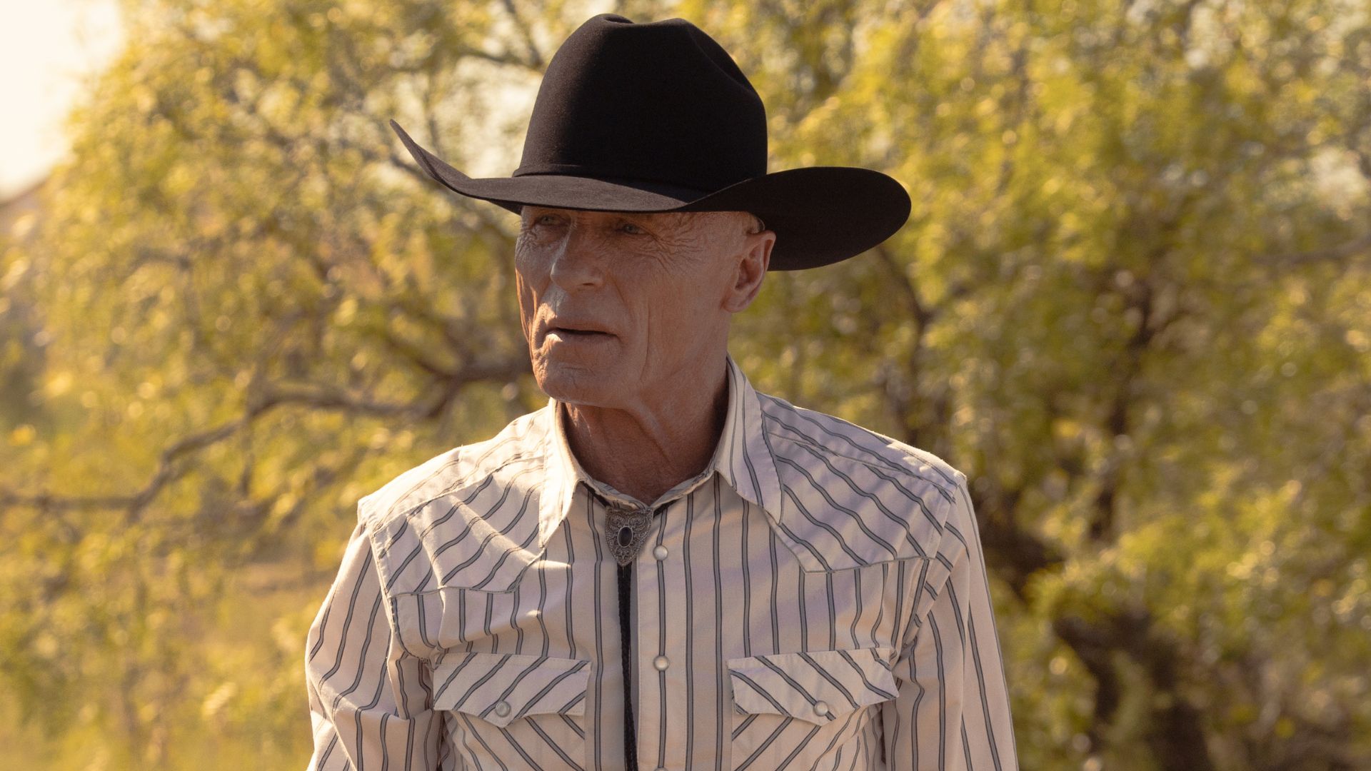 Ed Harris looks at something offscreen