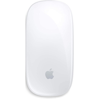 Apple Magic Mouse |