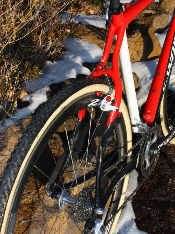 The sculpted seat stays are notably curvier than the norm.
