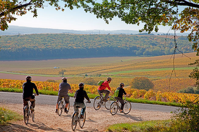 Cycling in the Loire