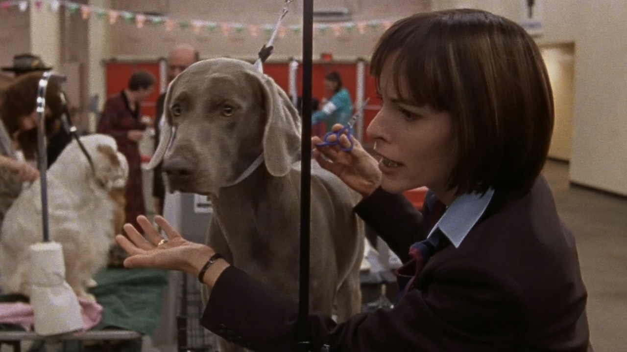 32 Best In Show Quotes And Scenes That I Still Think About