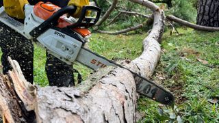 Man cutting into log with the STIHL MSA 3000 C chainsaw