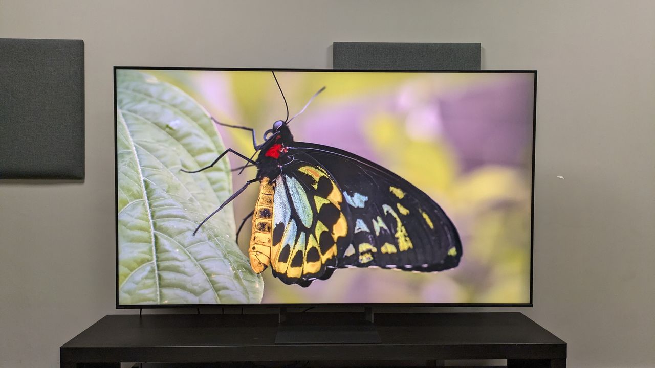 Sony Bravia 7 II with a shot of a green and yellow butterfly on screen
