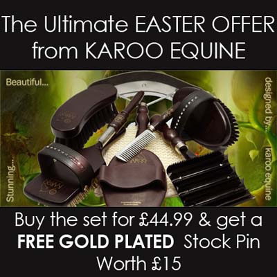 Brushes_EASTER_KAROOEQUINE.jpg