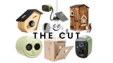 The Cut: Wildlife cameras