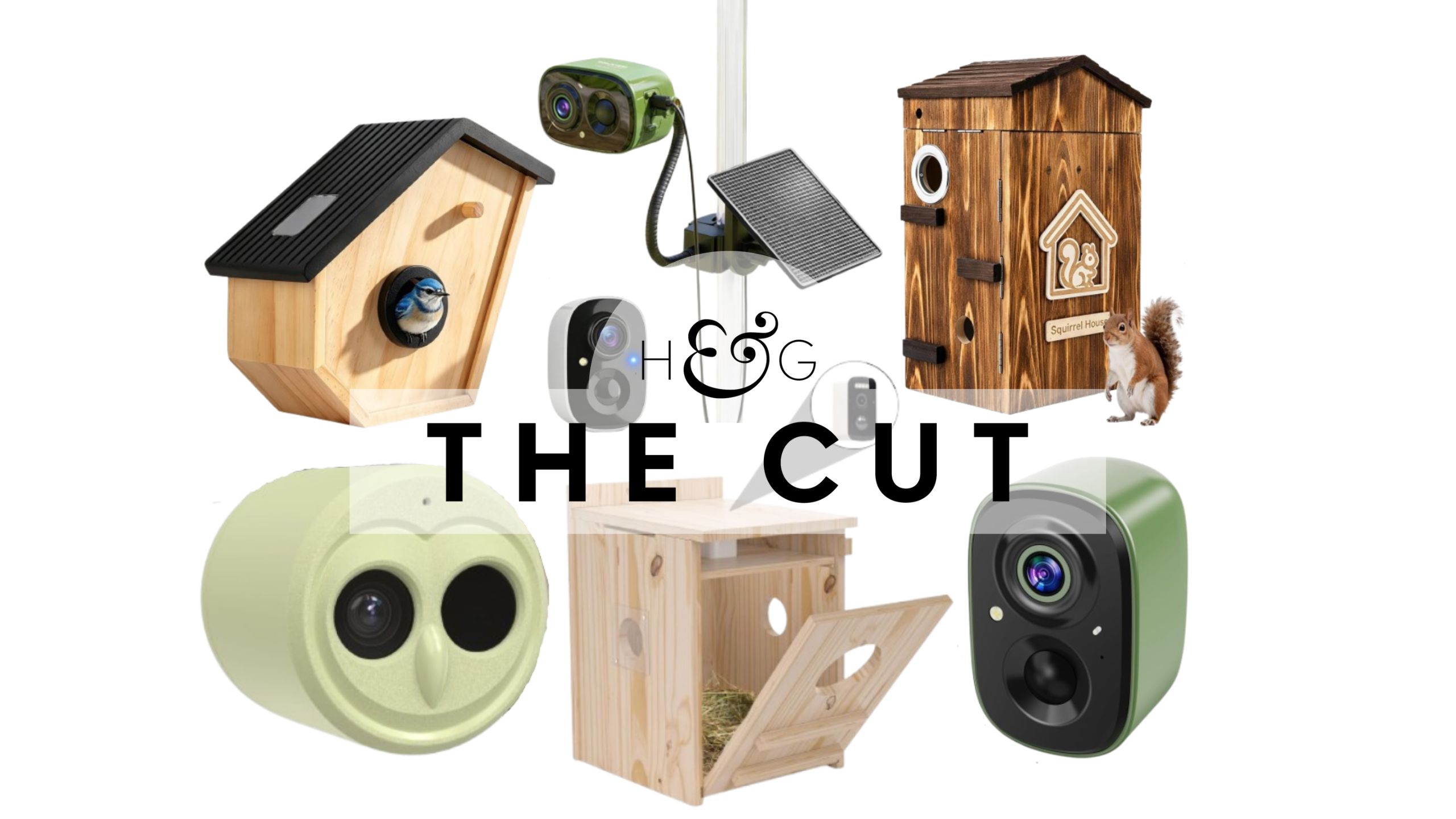 The Cut: Wildlife cameras