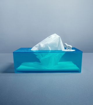 A photo of the iceberg tissue box